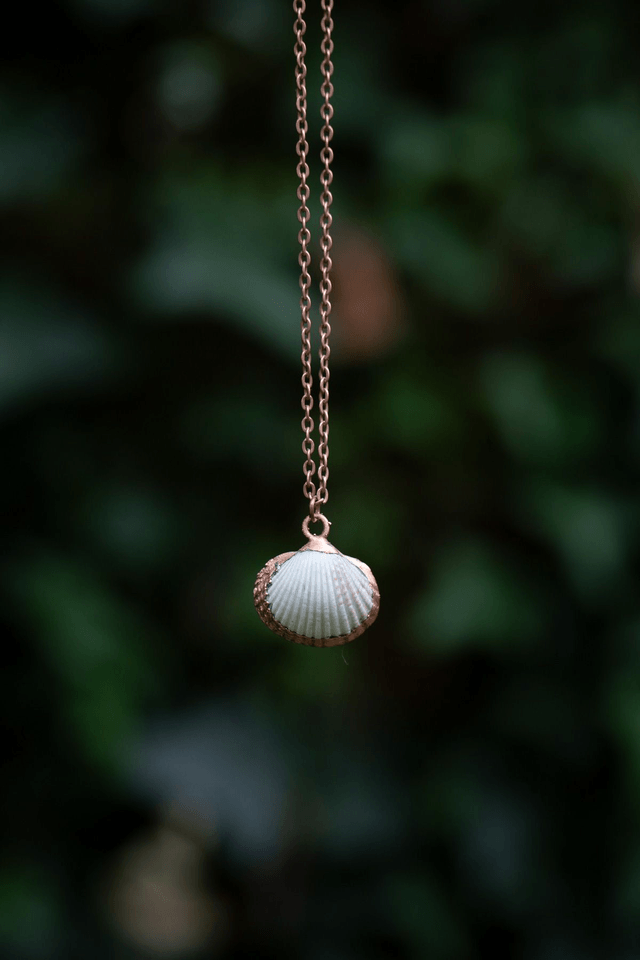 Collier Coquillage
