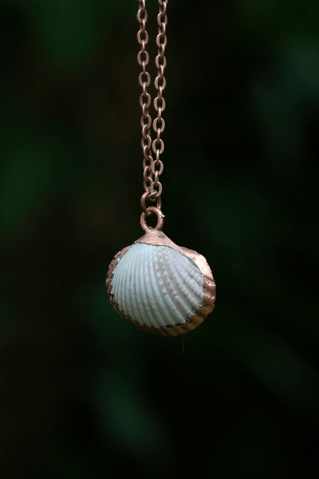 Collier Coquillage