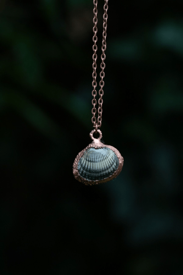 Collier Coquillage