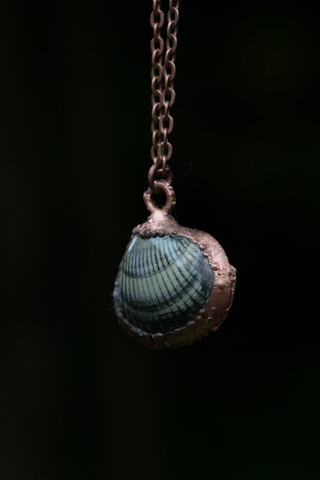 Collier Coquillage