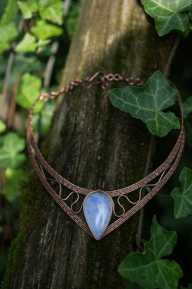 Plastron Alviske 